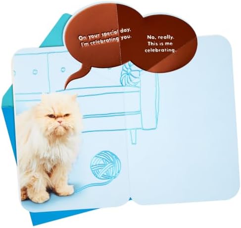 Hallmark Funny Birthday Card from Cat (This is Me Celebrating)