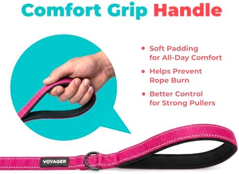 Best Pet Supplies Voyager Nylon Dog Leash - Fuchsia, Large