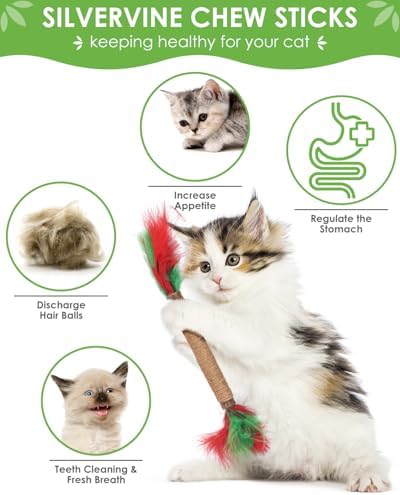 TINDTOP Silvervine Chew Sticks for Cats, 12 Pack Natural Catnip Chew Toys