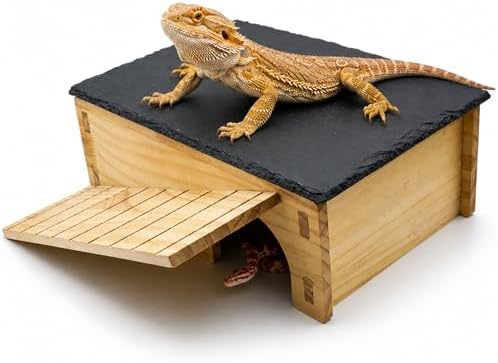 Bearded Dragon Basking Platform & Hideout, Natural Slate Rock Reptile Hide