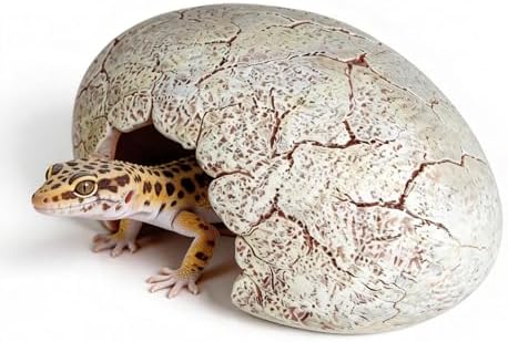 Dinosaur Egg Reptile Hide - Resin Cave for Leopard Gecko, Bearded Dragon & Small Snakes - Humid Hide, Shedding Aid & Terrarium Decor Tank Accessories (Small)