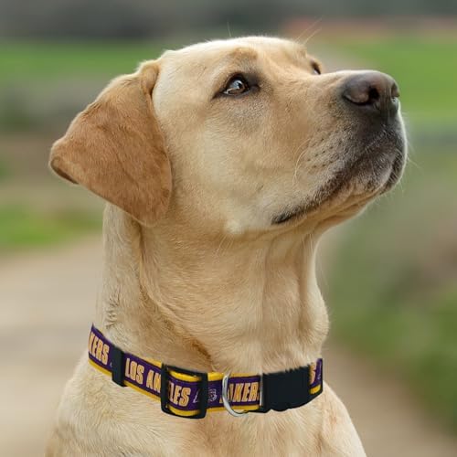 New & Improved Pets First NBA Los Angeles Lakers Dog & Cat Collar, Size Medium Basketball Team Collar
