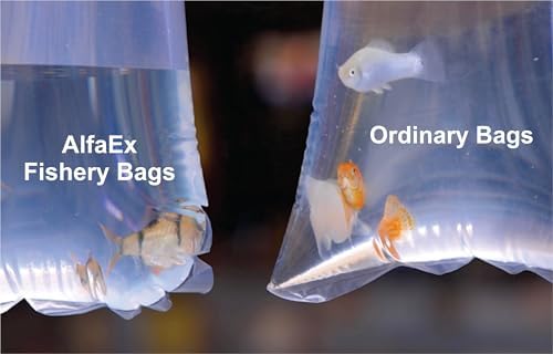 Fishery Bags 4 Inches Leak Proof Rounded Bottom Clear Plastic Fish Bags for Shrimps and Betta Fish Transport. (4" x 10" / 1000 Pack / 2 Mil)