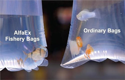 Fishery Bags 4 Inches Leak Proof Rounded Bottom Clear Plastic Fish Bags for Shrimps and Betta Fish Transport. (4" x 10" / 1000 Pack / 2 Mil)