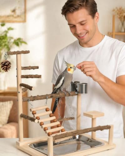 Natural Wooden Bird Playground Set - Bird Cage Accessories with Perches, Ladder & Swing, Safe Natural Wood Activity Center for Small to Medium Birds (Parakeet, Conure, Budgie, Cockatiel)