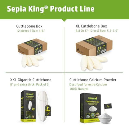 Sepia King - Medium - 100% Natural Calcium Supplement - Premium Cuttlebone Perfect for Birds, Tortoises, Snails, Reptiles - 12 Pack