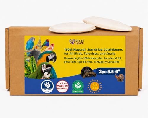Birds LOVE 5.5-6″ Cuttlebone for Birds – 100% Natural Sun-Dried Calcium & Beak Conditioning Supplement for Parakeets, Budgies, Cockatiels, Finches & Canaries – 2 Pack with Holder – Made in Vietnam