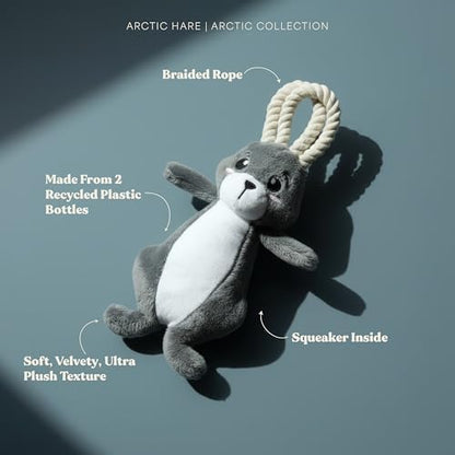 Premium Plush Dog Toy - Arctic Hare Plush Toy, Small Eco Friendly