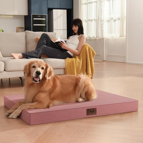 Outdoor Extra Large Dog Bed XXL for Giant Breed Dogs