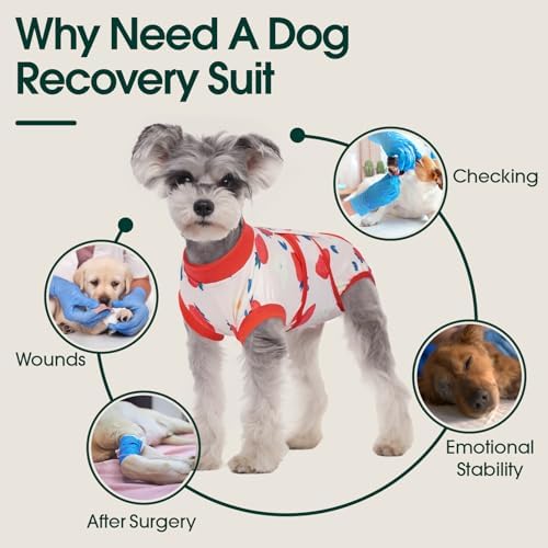 Kuoser Dog Recovery Suit, Female Male Spay Neuter Surgery Suit, Printed, L