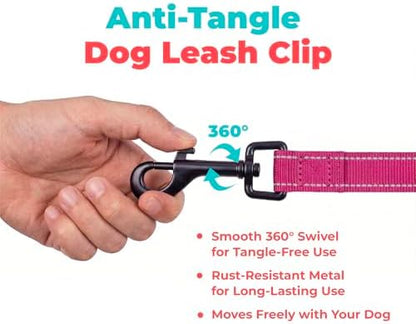 Best Pet Supplies Voyager Nylon Dog Leash - 6ft Fuchsia, Large
