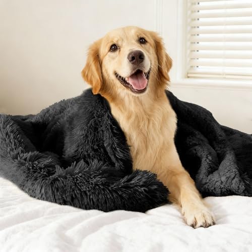 gogobunny Waterproof Dog Blanket for Couch & Furniture Protection - Super Soft Reversible Throw for Large Dogs & Cats, Calming Washable Fur & Sherpa Pet Blanket (60x80 Inch, Black)