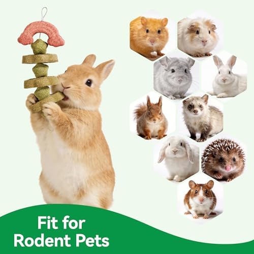 2 Pack Rabbit Chew Toys Bunny Treats, Prevent Teeth Overgrowth, Chew Toys for Guinea Pig/Hamster, Made with Timothy Hay & Vegetables for Rodent Pets, Small Animal Toys