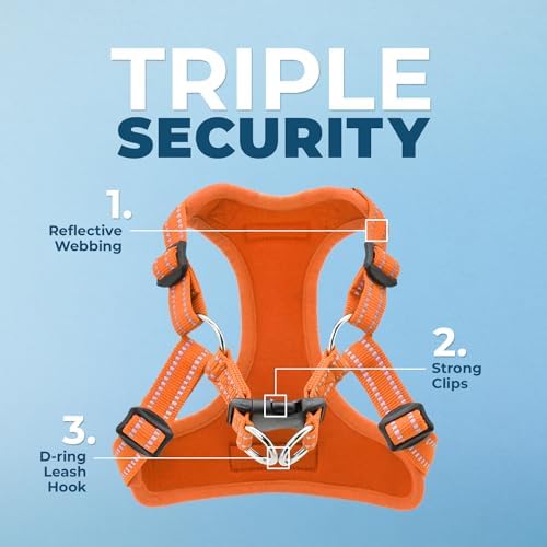 Best Pet Supplies Voyager Adjustable Step-in Flex Breathable Mesh Dog Harness for Small Medium Large Dogs Leash Set (Orange), XS