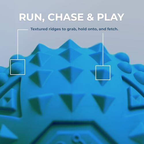 Best Pet Supplies Squeaky Dog Toys with Soft Durable Fabric for Small, Medium and Large Pets Interactive Toy for Indoor Play, Supports Active Biting and Play - Blue, Large