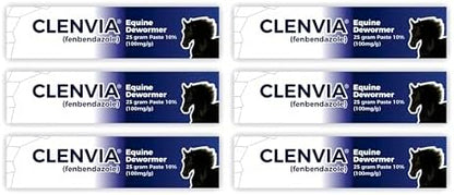 Horse Paste 10% – 25g Syringes – Oral Deworming Paste for Horses of All Ages – Easy-to-Administer Equine Care (Pack of 6)