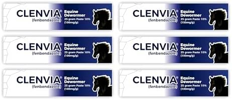 Horse Paste 10% – 25g Syringes – Oral Deworming Paste for Horses of All Ages – Easy-to-Administer Equine Care (Pack of 6)