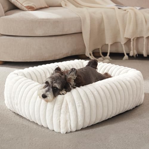 FURTIME Dog Bed for Small Dogs, Washable Orthopedic Dog Bed with Removable Cover, Rectangle Soft Calming Sleeping Puppy Bed Durable Pet Cuddler with Anti-Slip Bottom, Cream, S (20"x19"x6")