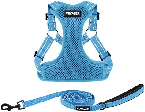 Best Pet Supplies Voyager Adjustable Step-in Flex Breathable Mesh Dog Harness for Small Medium Large Dogs Leash Set (Baby Blue), XL