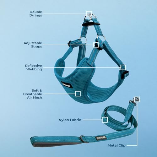 Best Pet Supplies Voyager Adjustable Step-in Flex Breathable Mesh Dog Harness for Small Medium Large Dogs Leash Set (Turquoise), M