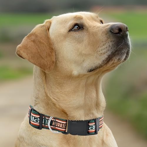 Pets First Collegiate PET Collar OLD VERSION Miami Hurricanes Dog Collar, Size Small. Best Sports Team Collar for Dogs & Cats. A Shiny & Colorful Dog & Cat Collar Licensed by The NCAA