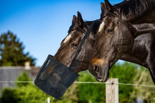 Horse Feed Bag for Grain, Medium, Heavy Duty Durable Mesh Horse Feeder with Adjustable Strap, Comfortable Neck, Reinforced Waterproof Bottom Horse Muzzle Feed Bag