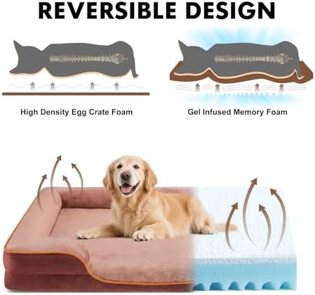 NEWBULIG 35x25 Inch Orthopedic Dog Bed for Indoor Use, Soft Surface