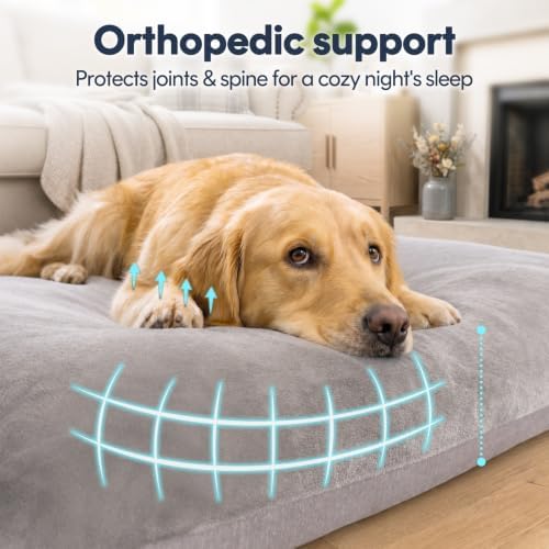 Magic Dog Super Soft Medium Dog Bed, 32 Inches Orthopedic Foam Pet Beds with Anti Slip Bottom, Dog Sleeping Mattress with Removable and Washable Cover, Grey M,32'' X 24'' X 3''