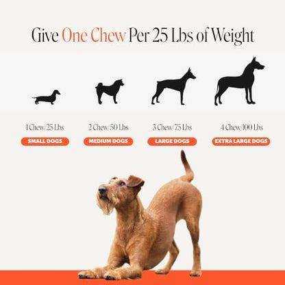 Pet Honesty Turmeric Hip and Joint Supplement for Dogs, 90 Count