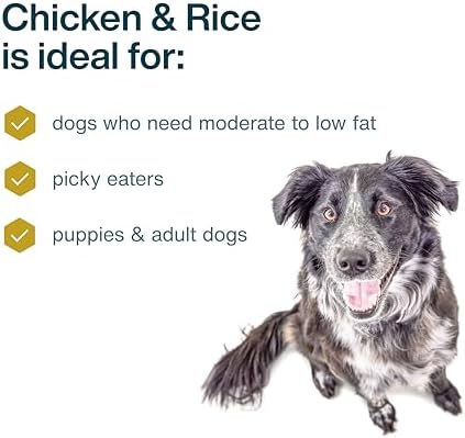 JustFoodForDogs Pantry Fresh Wet Dog Food,Complete Meal or Dog Food Topper,Chicken & White Rice Human Grade-Dog-Food Recipe - 12.5 oz,(Pack of 24)