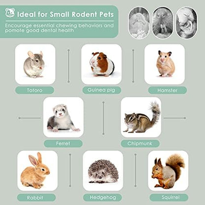 Bissap 250g/0.5Ib Sweet Bamboo Chew Sticks for Rabbits, Bunny Molar Treats Snack for Small Animals Hamster Chinchilla Guinea Pigs Rabbit Squirrel Natural Teeth Grinding Toys