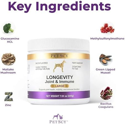 Petscy Longevity Hip & Joint + Immune Support for Dogs - Large (7.5g Chew) - High Dose Glucosamine, MSM, Chondroitin, Green Lipped Mussel, Omega 3, Probiotics - 30 Chews (Large Dogs)