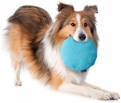 Playology Durable Plush Toy - Crinkle Disc - Jumbo, Peanut Butter Scent