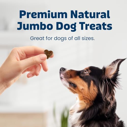 Blue Buffalo Jumbo Bits Beef Dog Treats, 11 oz