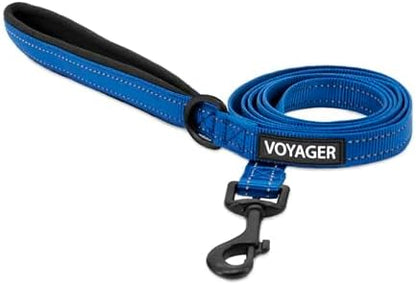 Best Pet Supplies Voyager Nylon Dog Leash - Royal Blue, Small