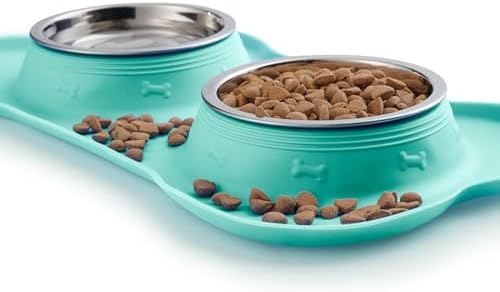Hubulk Pet Dog Bowls 2 Stainless Steel Dog Bowl with No Spill Non-Skid Silicone Mat + Pet Food Scoop Water and Food Feeder Bowls for Feeding Small Medium Large Dogs Cats Puppies (Small, Mint Green)