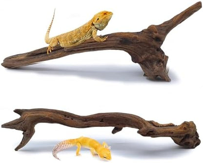 BNOSDM 2PCS Snake Climbing Branches,Reptile Natural Coral Driftwood Branches Decor,Lizard Habitat Decoration Accessories, Terrarium Tree Trunk Ornament for Bearded Dragon Gecko Frog Chameleon Spider