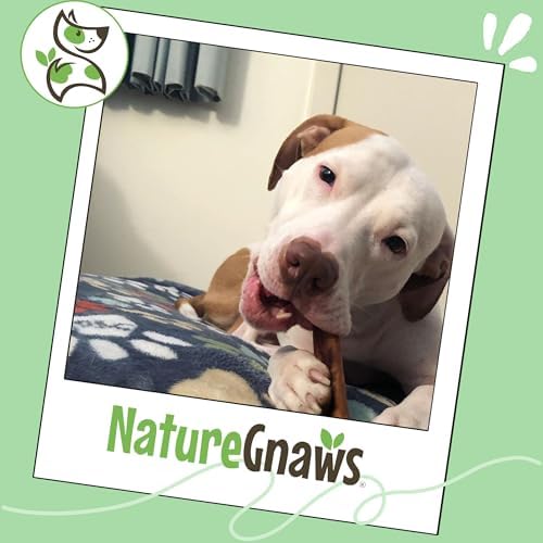 Nature Gnaws Bully Sticks 6" Long Lasting Rawhide Free Dog Chews, 1 lb