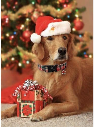 Christmas Dog Collar– Adjustable Red & Green Checkered Dog Collar for Small Medium Large Dogs, Soft Xmas Plaid Puppy Collars with Quick Release Buckle XS
