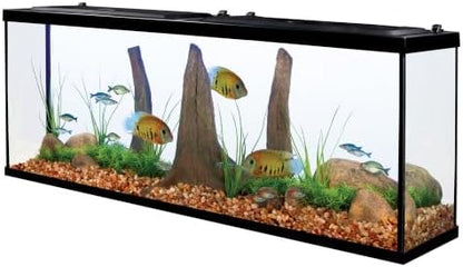 Tetra 55 Gallon Glass Aquarium, Rectangular Fish Tank
