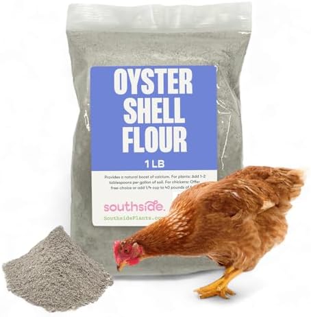 Southside Plants Oyster Shell Flour - High Calcium Supplement for Chickens, Amphibians, Reptiles, Mammals, Invertebrates & Birds - Harvest Delight Chicken Scratch | 1 lbs (1 lb)