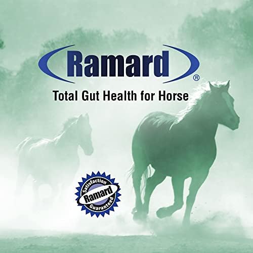 Ramard Total Gut Health Equine Digestive Support - Equine Gut Health Supplement Probiotics for Horses, Healthy Gut Vitamins, Gastric Relief, Optimum Digestive Health for Horses 1oz, 1-Pack