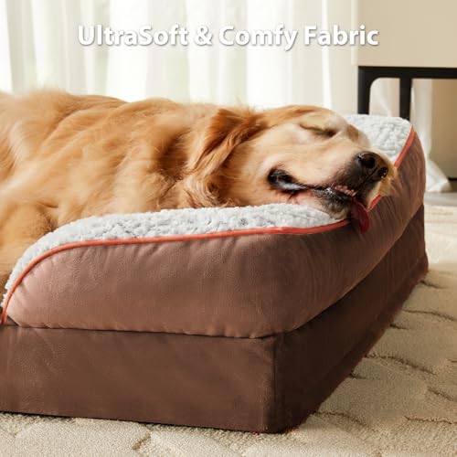 LEXTRO Orthopedic Dog Bed for Medium Dogs, Comfy Sleeping Dog Sofa Bed