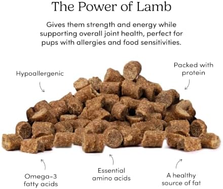 Crumps' Naturals Mini Trainers Semi-Moist Lamb 10.6oz