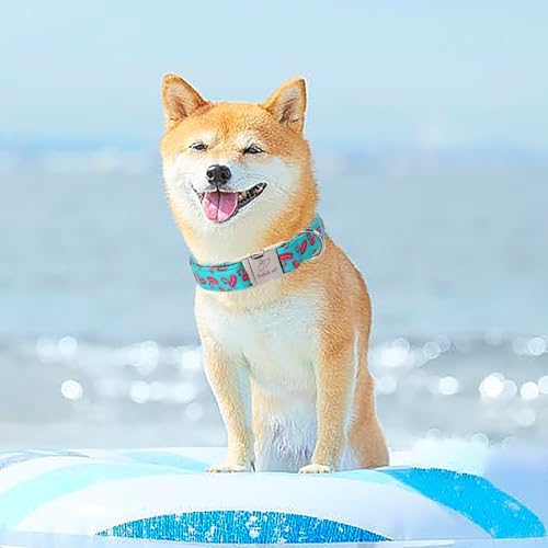 Summer Dog Collar, Cool Flamingo Float Pet Collar with Metal Buckle, Durable Adjustable Designer Dog Collars for Small Medium Large Dogs XS