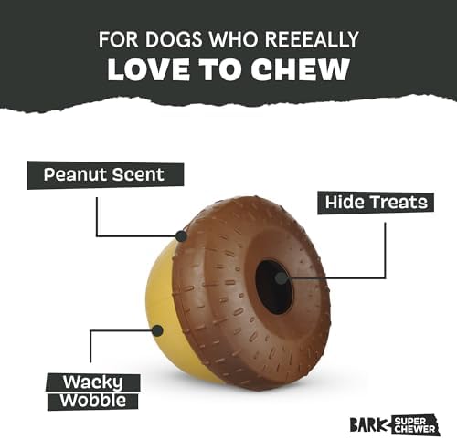 BarkBox Acornucopia Super Chewer - Toy for Large Dogs