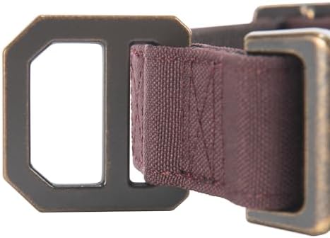 Carhartt Nylon Duck Dog Collar, Fully Adjustable Durable 2-Ply Cordura Nylon Canvas Collars for Dogs, Deep Wine, Medium
