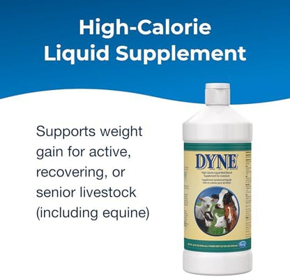 PetAg Dyne High Calorie Liquid Nutritional Supplement for Livestock - 32 oz - Includes Added Vitamins - Excellent for Underweight, Stressed, or Recovering Animals
