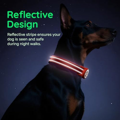 Premium Airtag Dog Collar，with IP68 Waterproof AirTag Holder,Red,M