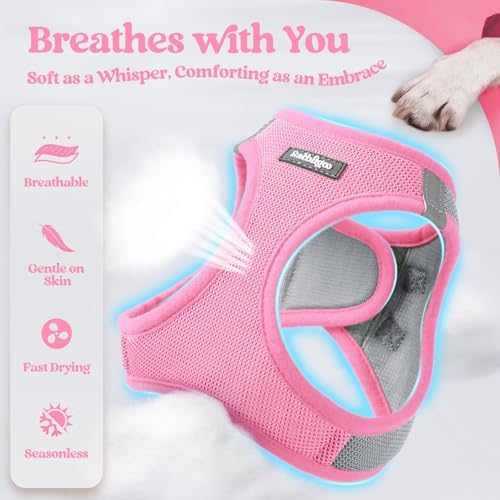 rabbitgoo Dog Harness Small Sized and Leash Set, Step-in Puppy Pet Vest